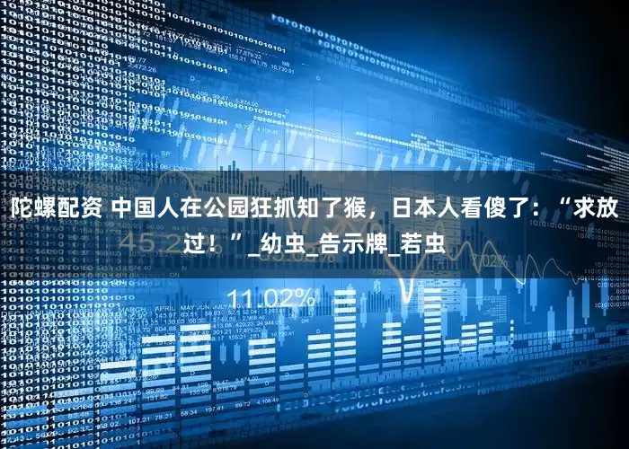 陀螺配资 中国人在公园狂抓知了猴，日本人看傻了：“求放过！”_幼虫_告示牌_若虫